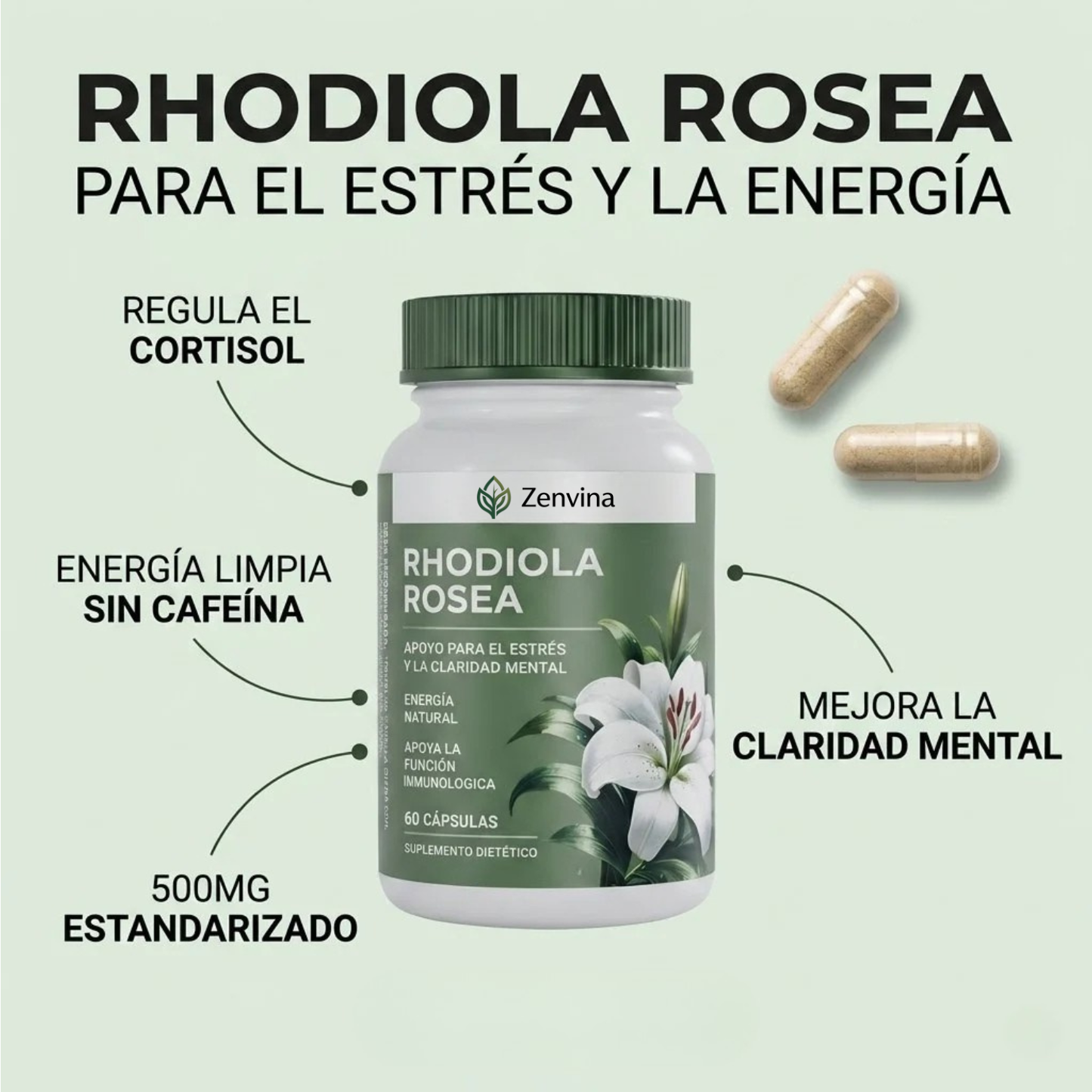 Rhodiola Rosea