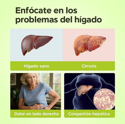 Limpiador Hígado y Vesícula, Boldo y Extracto de Cardo Mariano