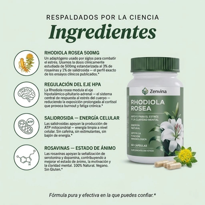Rhodiola Rosea