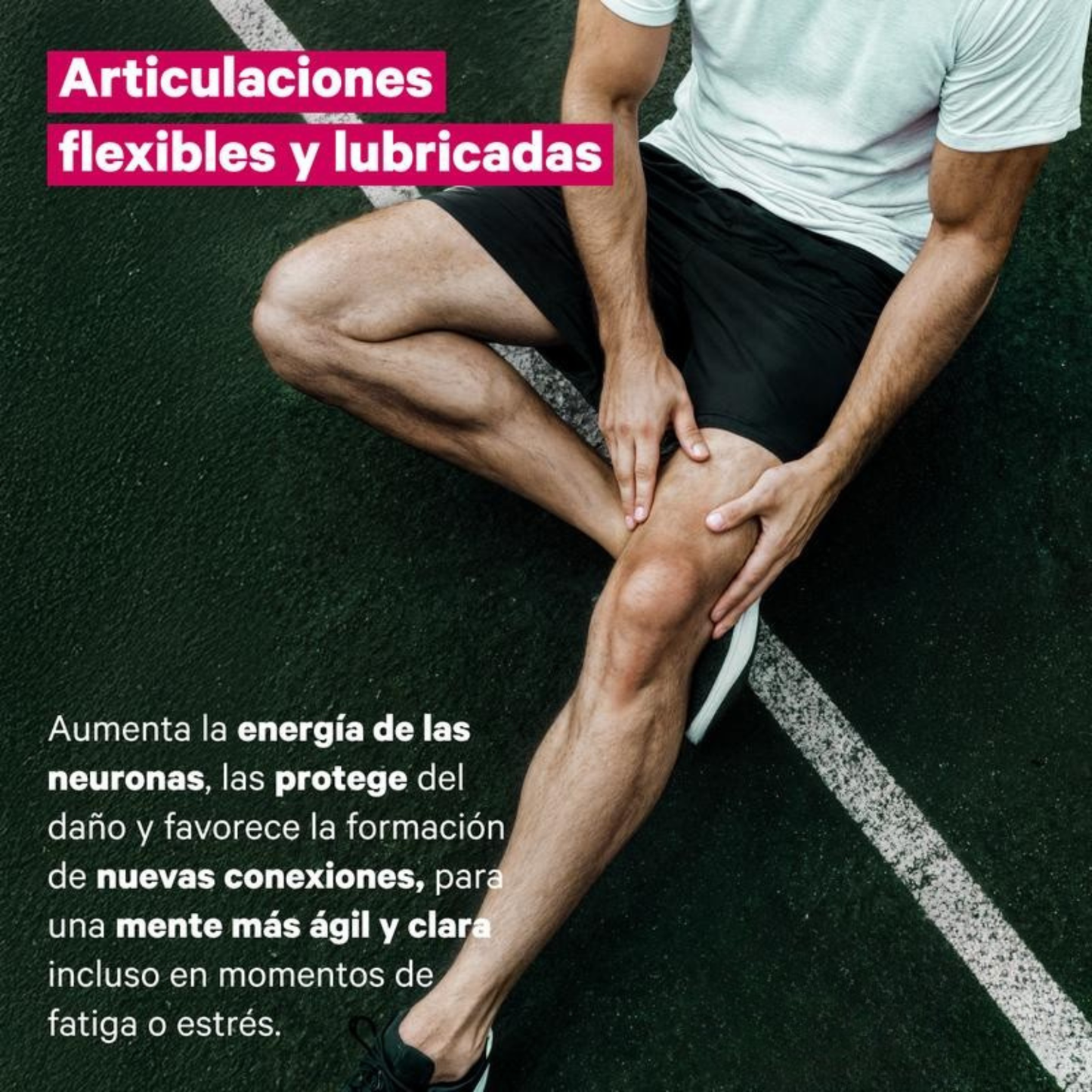 Colágeno Marino + Ácido Hialurónico